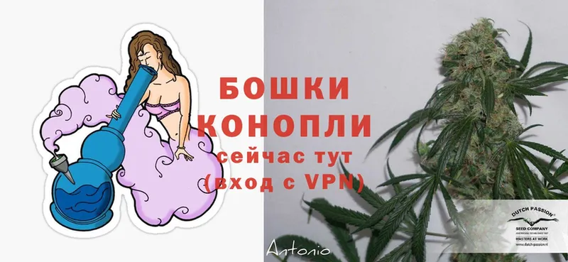 МАРИХУАНА Ganja  магазин продажи наркотиков  Калач 